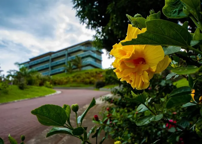 Arenal Aparthotel