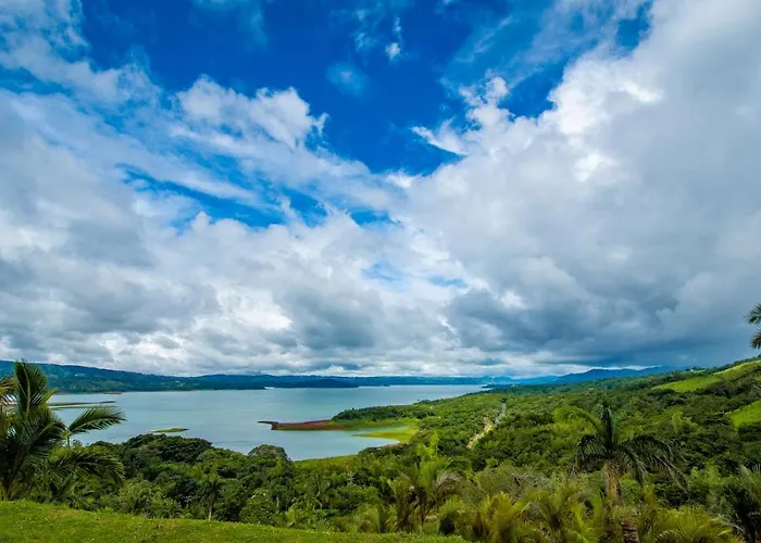 Arenal Naranjos Agrios